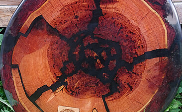 Referenzen & Projekte